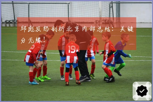 邱彪发怒剖析北京内部总结:关键分无缘!