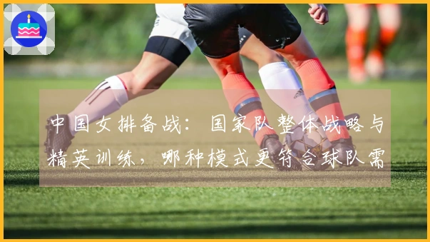 中国女排备战：国家队整体战略与精英训练，哪种模式更符合球队需求？
