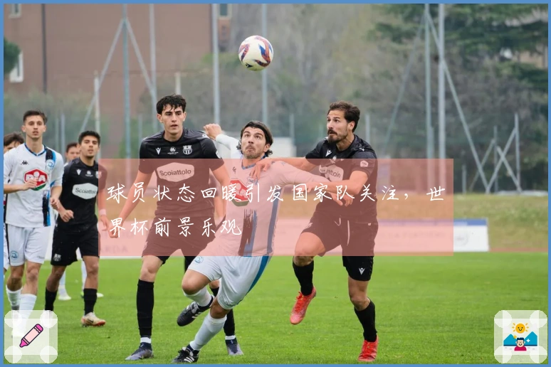 球员状态回暖引发国家队关注，世界杯前景乐观