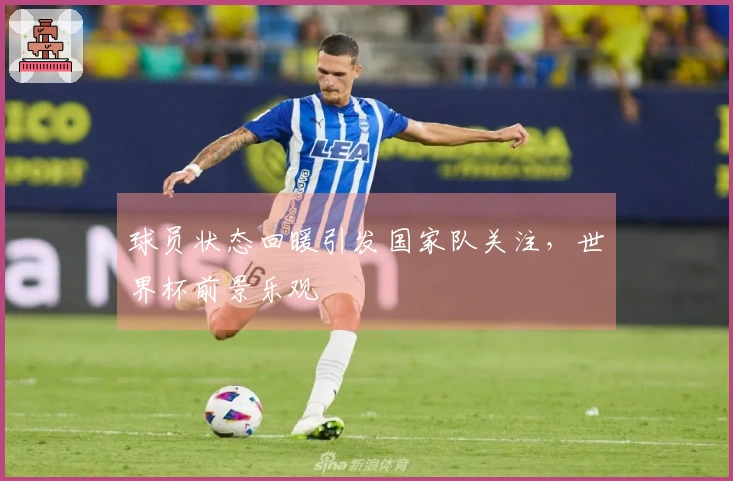 球员状态回暖引发国家队关注，世界杯前景乐观