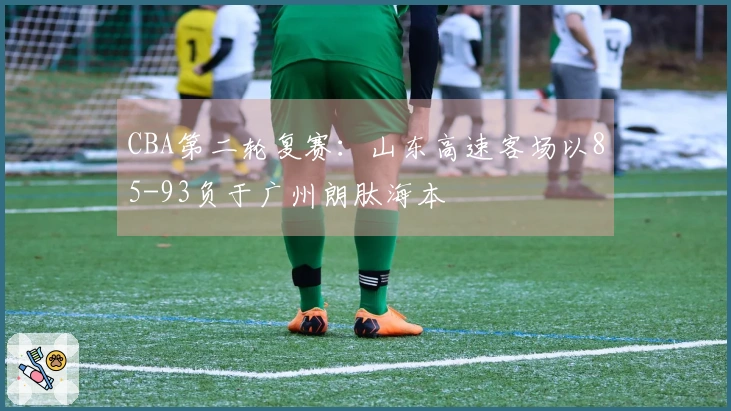 CBA第二轮复赛：山东高速客场以85-93负于广州朗肽海本
